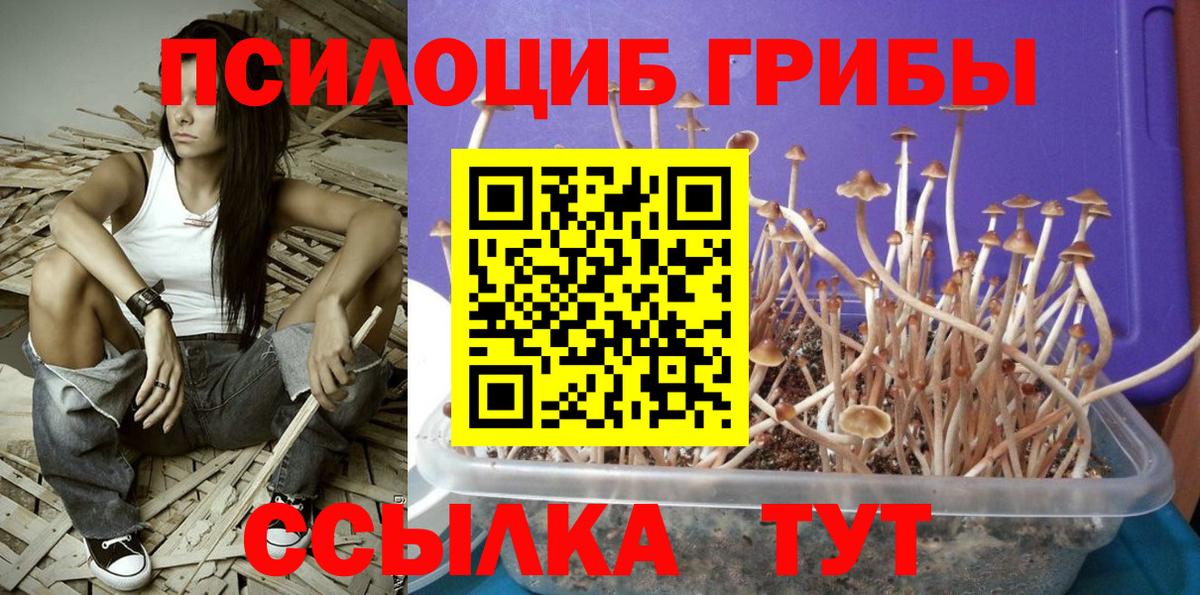 Галлюциногенные грибы прущие грибы Асбест