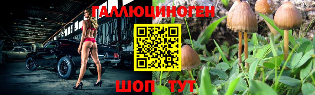 Асбест  как найти закладки  Галлюциногенные грибы Psilocybe  Вход с VPN  Галлюциногенные грибы прущие грибы 
