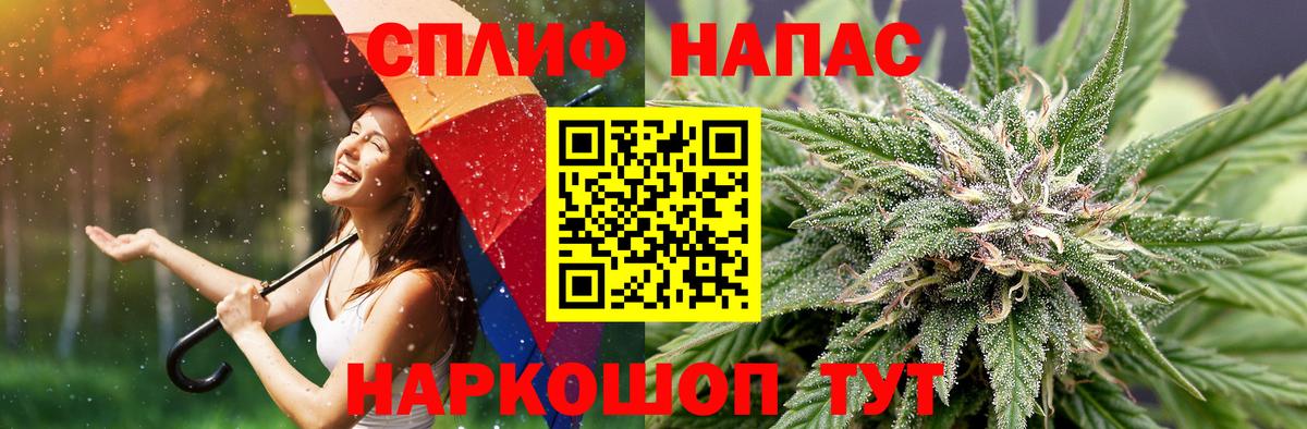 Конопля планчик Асбест